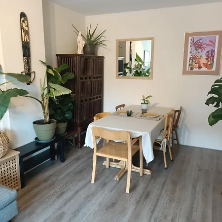 Delfshaven * רוטרדם